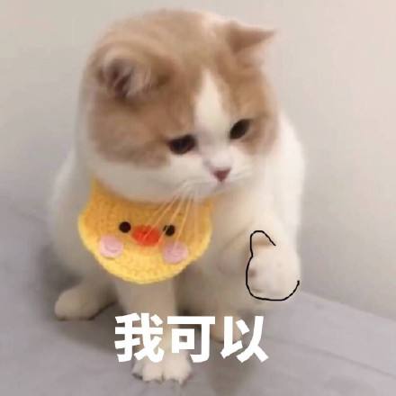 羞羞漫画